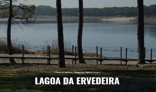 Lagoa_da_Ervedeira_d1.png