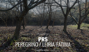 Peregrino_Leiria-Fatima_d1.png